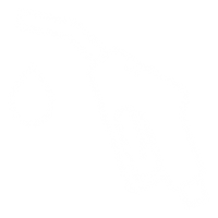 EV