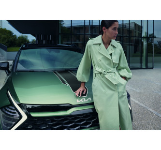 Decals, racing stripes, black and white