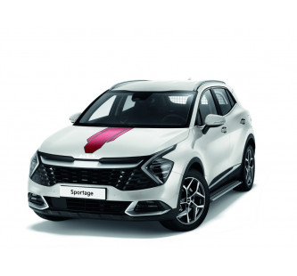 Decals, racing stripes, red and black